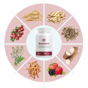 boostaro-ingredients